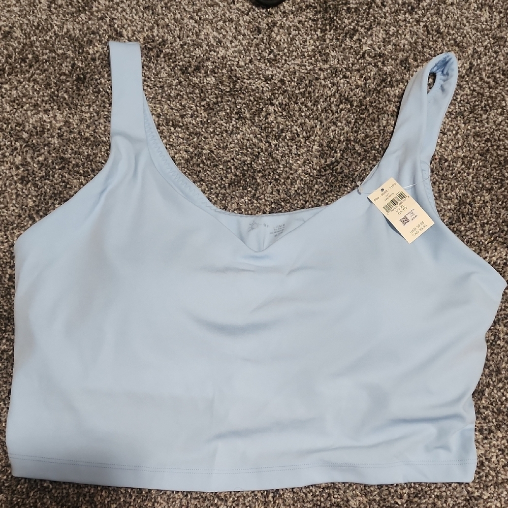 Aerie Blue Sleeveless Fitted Crop Tank Top